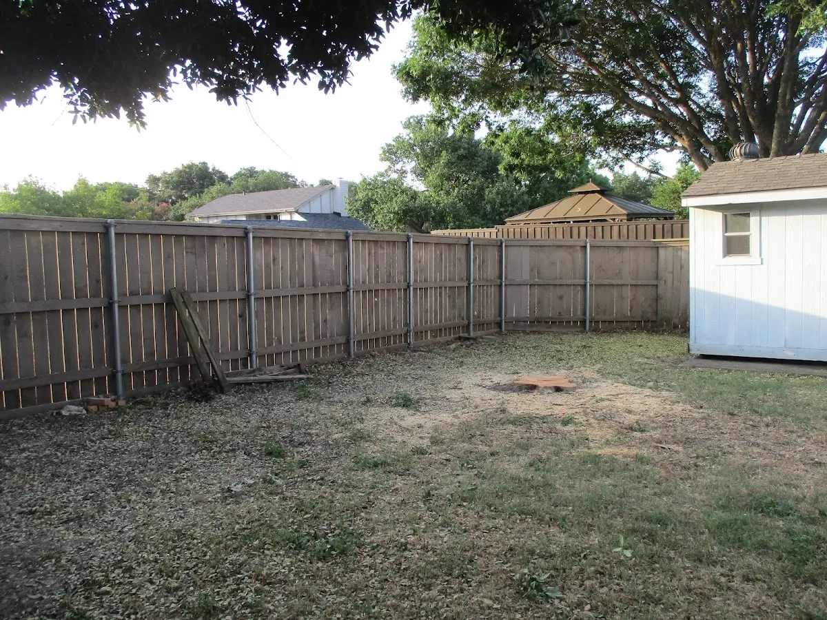 Cleared yard after professional tree removal in Old Westbury
