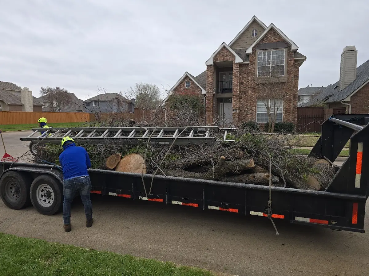 Expert Tree Removal with proper safety equipment in Old Westbury